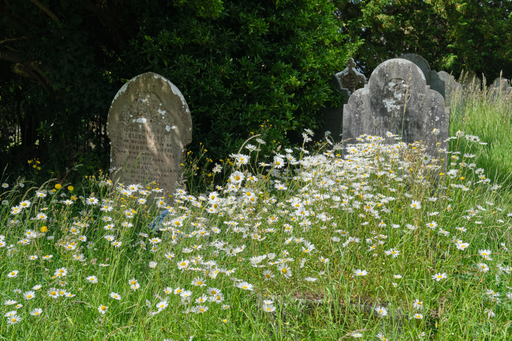 Churchyardp